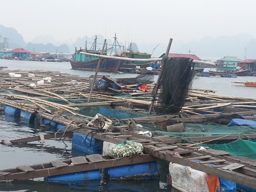 Village flottant des pêcheurs sans Têt à la baie Bai Tu Long